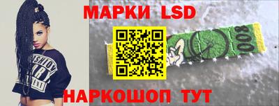mdpv Новодвинск