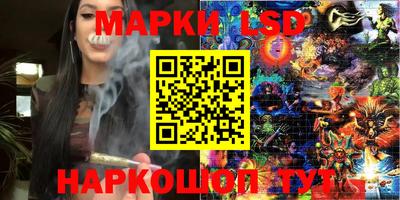 mdpv Новодвинск