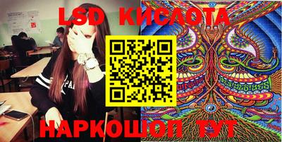 mdpv Новодвинск