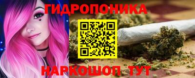 mdpv Новодвинск
