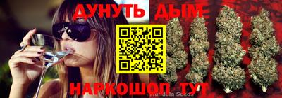 mdpv Новодвинск