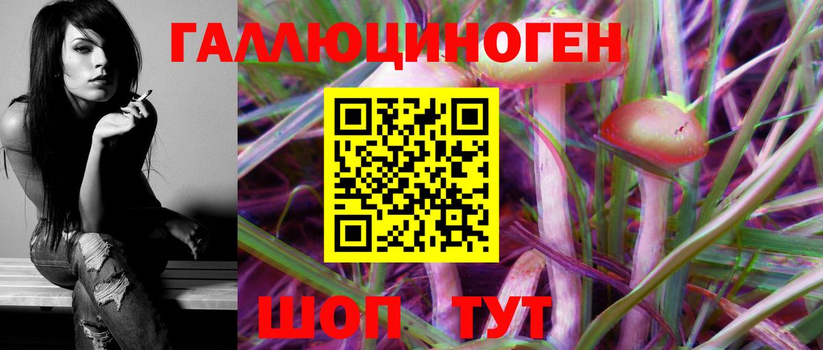 Сергиев Посад  Псилоцибиновые грибы Psilocybe  Вход с VPN 